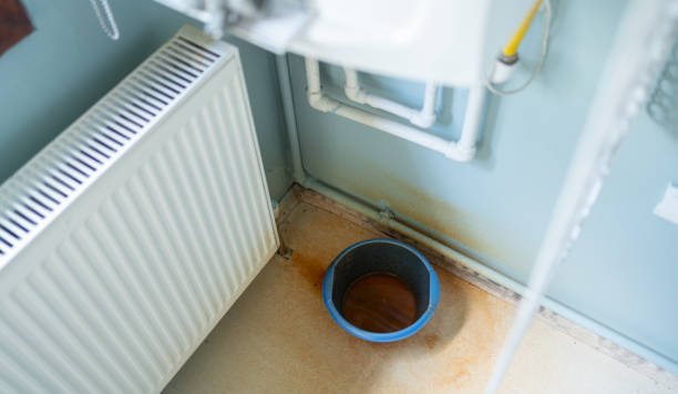 Best Fire Damage Restoration  in Oakland, TN
