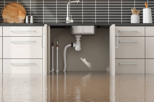 Best Carpet water damage restoration  in Oakland, TN