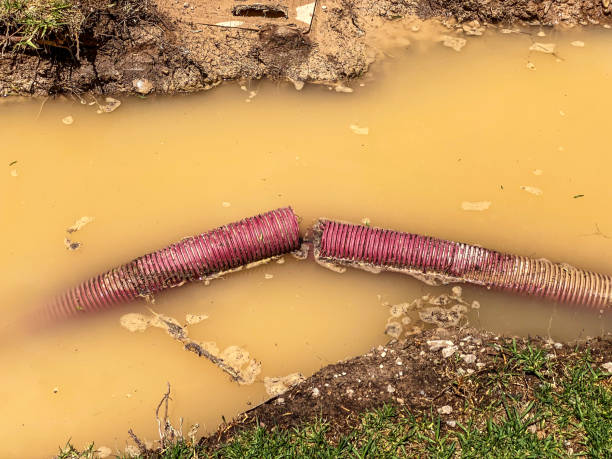 Best Carpet water damage restoration  in Oakland, TN