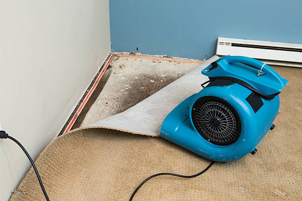 Best Commercial water damage restoration  in Oakland, TN